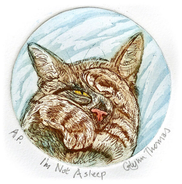 I'm Not Asleep - Image 3