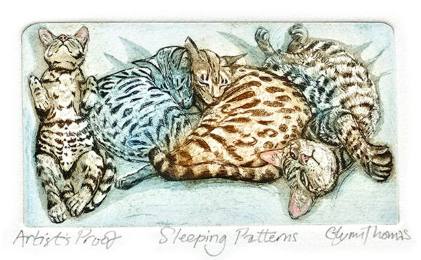 Sleeping Patterns - Image 3
