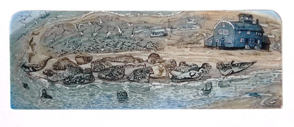 Blakeney Point - Image 3