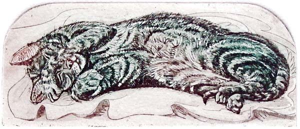 Siesta - Image 3