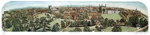 The Backs - Image 3
